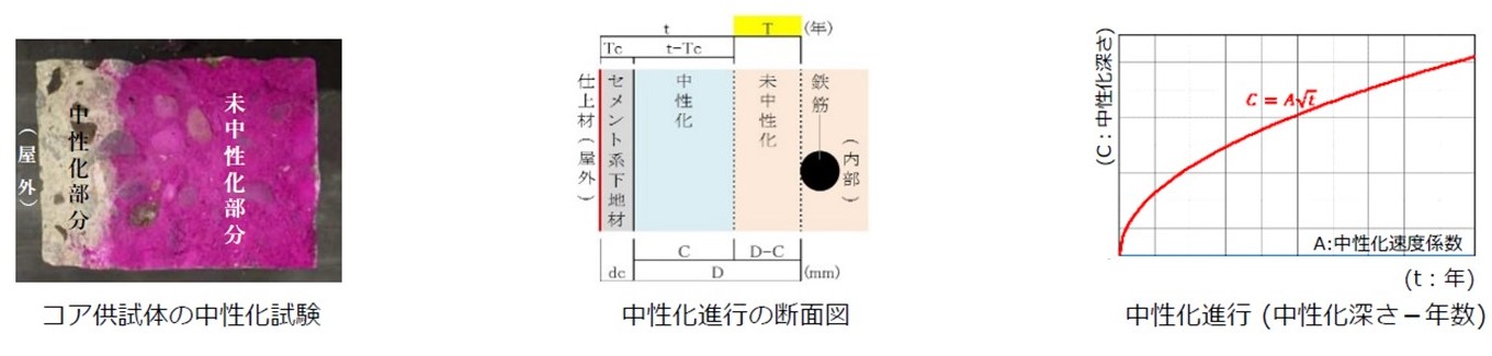 【中古】 鉄筋コンクリート造建築物の寿命 中性化と鉄筋の腐食進行を基礎として/技報堂出版/福島敏夫 鉄筋コンクリート造建築物の寿命 中性化と鉄筋の腐食進行を基礎